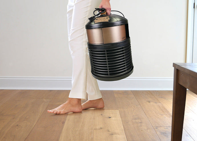 What to Look for When Choosing a Portable Air Purifier