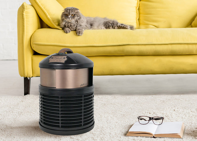 How Air Purifiers Work: Is the Air Really Cleaner?