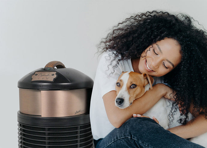 The Ultimate Guide for Air Purifiers for Pet Owners