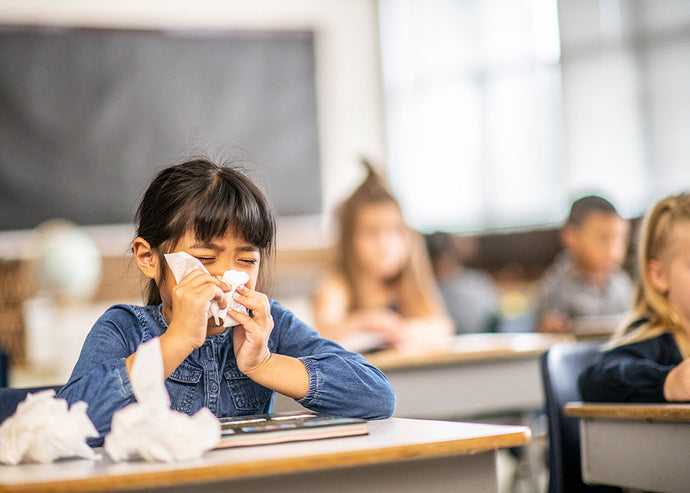 The Value and Importance of Air Purifiers in School Classrooms